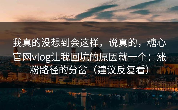 我真的没想到会这样，说真的，糖心官网vlog让我回坑的原因就一个：涨粉路径的分岔（建议反复看）