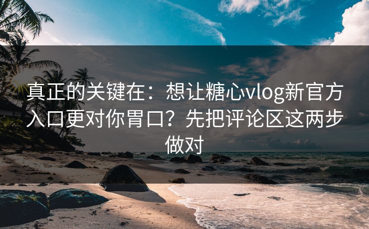 真正的关键在：想让糖心vlog新官方入口更对你胃口？先把评论区这两步做对