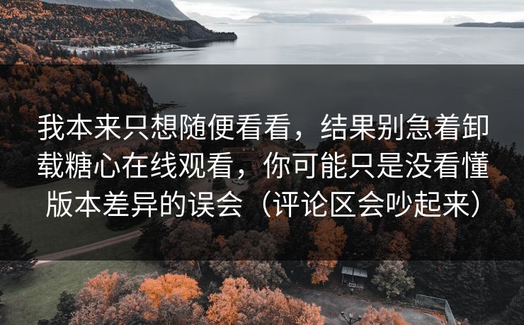 我本来只想随便看看，结果别急着卸载糖心在线观看，你可能只是没看懂版本差异的误会（评论区会吵起来）