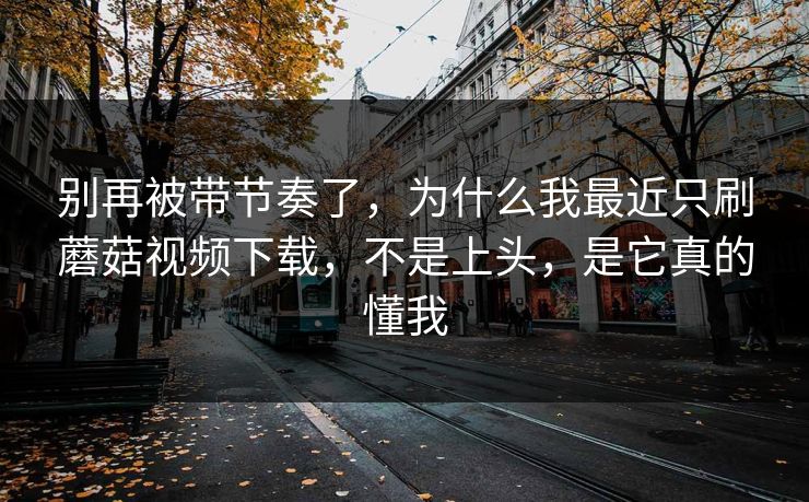 别再被带节奏了，为什么我最近只刷蘑菇视频下载，不是上头，是它真的懂我