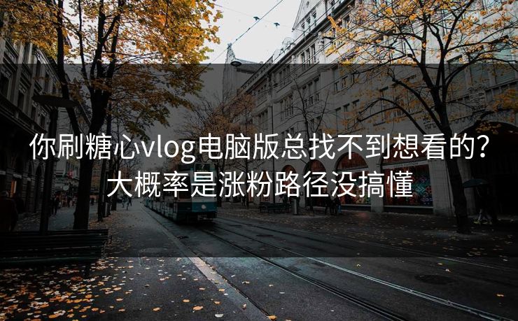 你刷糖心vlog电脑版总找不到想看的？大概率是涨粉路径没搞懂